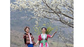 Beauty of women in Ha Giang Province’s plateau of rocks