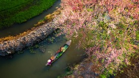 Rowing by Nguyen Xuan Trang