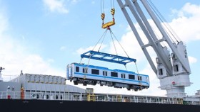 The trains will be transported to Long Binh depot in Thu Duc city for assembly on June 21 and June 23. (Photo: VNA)