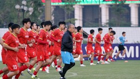 The AFF Championship is a step down in quality from World Cup qualifying for coach Park and the national team. (Courtesy Photo of VFF)