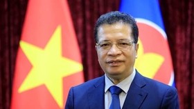 Vietnamese Ambassador to Russia Dang Minh Khoi (Photo: VNA)