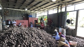 Tìm giải pháp căn cơ cho tiêu thụ nông sản