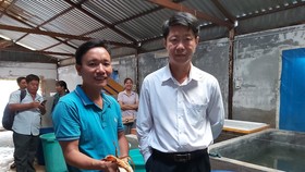 Trà Vinh sản xuất thành công giống cua biển bản địa