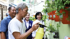 Người dân phường 9, quận 4 chăm sóc mảng xanh trước nhà