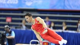 Đinh Phương Thành được xét chuẩn dự Olympic từ Giải VĐTG 2019.