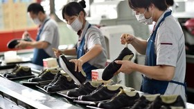 Các doanh nghiệp sử dụng nhiều lao động như dệt may, da giày đang cố xoay trở để sản xuất an toàn giữa dịch bệnh. Ảnh minh họa