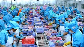 Thuỷ sản xuất sang Trung Quốc giảm liên tiếp vì dịch
