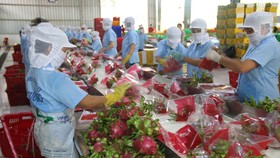 Đề xuất 4 giải pháp hỗ trợ xuất khẩu nông sản sang Trung Quốc