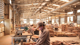 Nhiều giải pháp khắc phục tình trạng thiếu hụt lao động tại các khu công nghiệp 