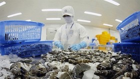 Xuất khẩu tôm 4 tháng đạt kỷ lục so với cùng kỳ các năm trước