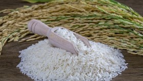 Lần đầu tiên gạo ST25 của Việt Nam có mặt tại thị trường Nhật Bản 