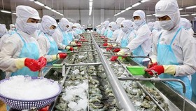 Bất chấp nhiều biến động, xuất khẩu thuỷ sản quý II vẫn ghi nhận con số ấn tượng