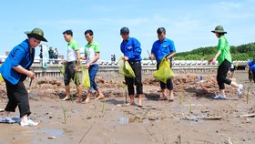 Quỹ 1 triệu cây xanh cho Việt Nam đến Đất Mũi