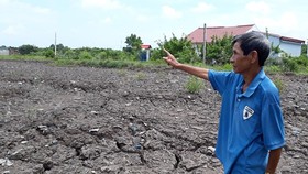 Cà Mau: Lỏng lẻo quản lý đất công, khó khăn xử lý hậu quả