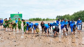 Lực lượng đoàn viên tham gia trồng rừng ngập mặn