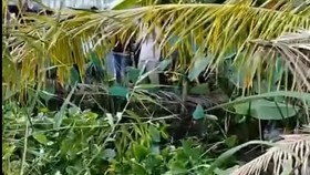 Bắt khẩn cấp người vợ giết chồng, giấu xác dưới ao 4 tháng