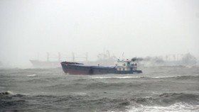 Hàng loạt tàu cá, tàu hàng bị sóng biển đánh dạt về bãi tắm Quy Nhơn