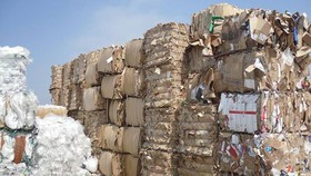 Buộc tái xuất các lô hàng lợi dụng nhập khẩu phế liệu để đưa chất thải vào Việt Nam