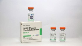 Chính phủ bổ sung kinh phí cho Bộ Y tế để mua và tiếp nhận 20 triệu liều vaccine phòng Covid-19 Vero Cell của Tập đoàn Sinopharm, Trung Quốc