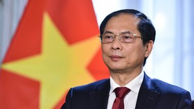 Bộ trưởng Ngoại giao Bùi Thanh Sơn