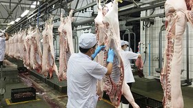Dây chuyền sản xuất thịt heo ở Công ty Vissan