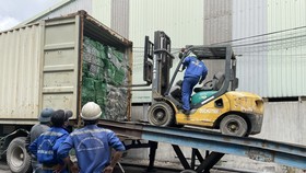 TPHCM bắt đầu tiêu hủy hàng trăm container phế liệu