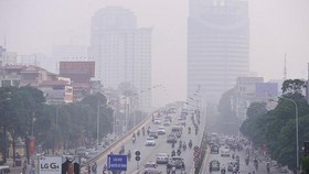 Hanoi determined in dealing with environmental pollutions