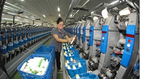 Vietnamese enterprises invest in textile materials for local and export demand