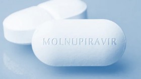 Vietnam to use 70,000 Molnupiravir for treatment of Covid-19 patients at home