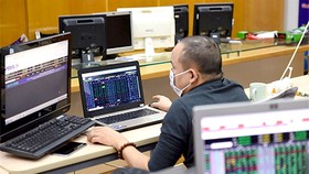 Market expected to open the first week after Tet on a positive note