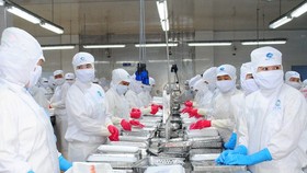WB: Vietnam's economy continues to show resilience