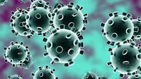 Ministry requires report of unusual acute hepatitis cases