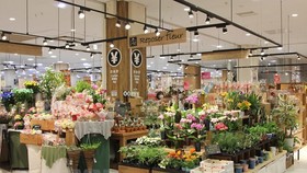 Japan now remains one of the important flower export markets of Vietnam