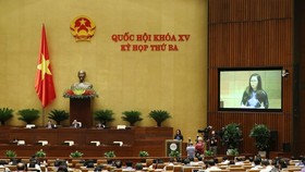 Foreign investors not allowed to co-own port, airports: former HCMC Secretary