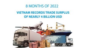 Vietnam records trade surplus of nearly US$4 billion in eight months