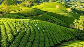 Action plan to promote green growth in agriculture