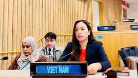 Vietnam calls for eliminating all forms of discrimination against women, girls
