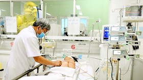 HCMC records 29 dengue deaths this year