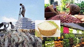 Vietnam’s agro-forestry-fishery exports see UKVFTA-related opportunities