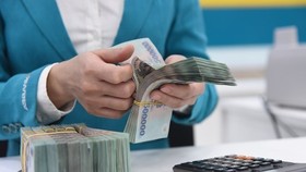 Reference exchange rate down VND2 at week’s beginning