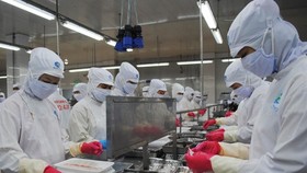 Ca Mau, Soc Trang post high export revenue