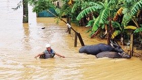 Floodwaters isolate over 10,000 houses in Central region 