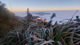 Fansipan mountaintop covered in hoarfrost 
