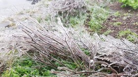 Northern, Central regions to enjoy cold Christmas weekend