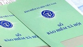 Enterprises in HCMC owe US$73 million in social insurance payment