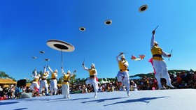 Vietnamese tourists to travel again to RoK with C-3 visa