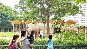 Saigon Zoo & Botanical Gardens, familiar destination during summer 