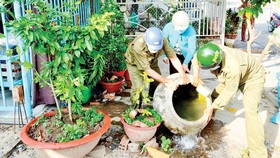 HCMC launches environmental sanitation campaign against dengue fever