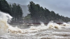 Newly-appeared low pressure zone in East Sea may develop into storm