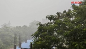 Storm Ma-on slams mainlands of Hai Phong, Quang Ninh